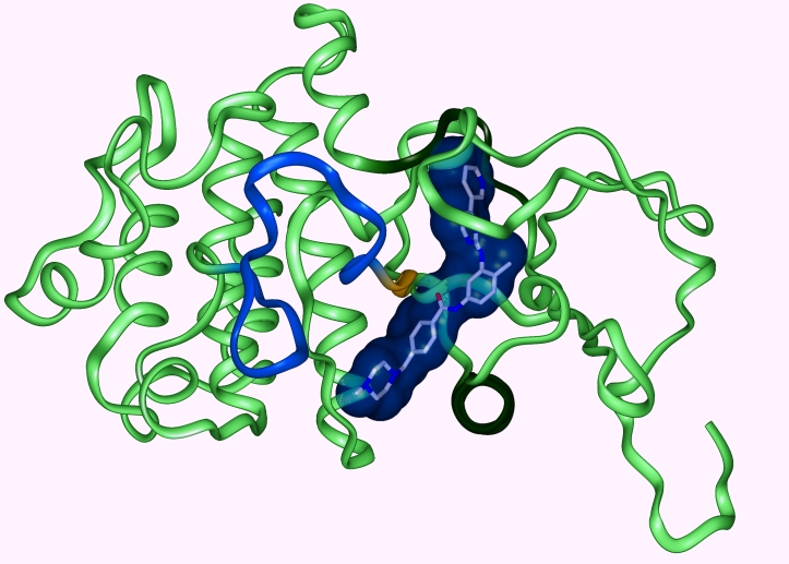 Gleevec structure - Structure of Gleevec bound to the kinase domain